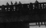 Alt7crop