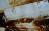 Aut 0065
