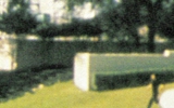 Bond_5_crop