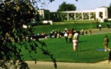 Bronson_crop