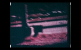 Daniel_102