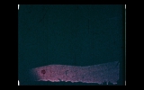 Daniel_138