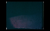 Daniel_141