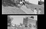 Dillard_1964