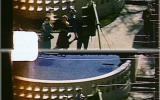 Dorman2