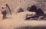 Moormancrop2