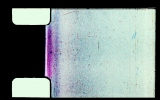 0006