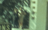 Willis_crop